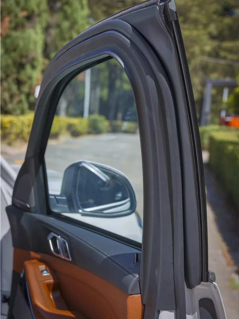 BMW X5 xDrive40i Protection