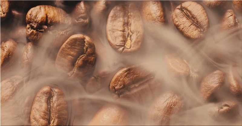 Curiosity Fuel Coffee