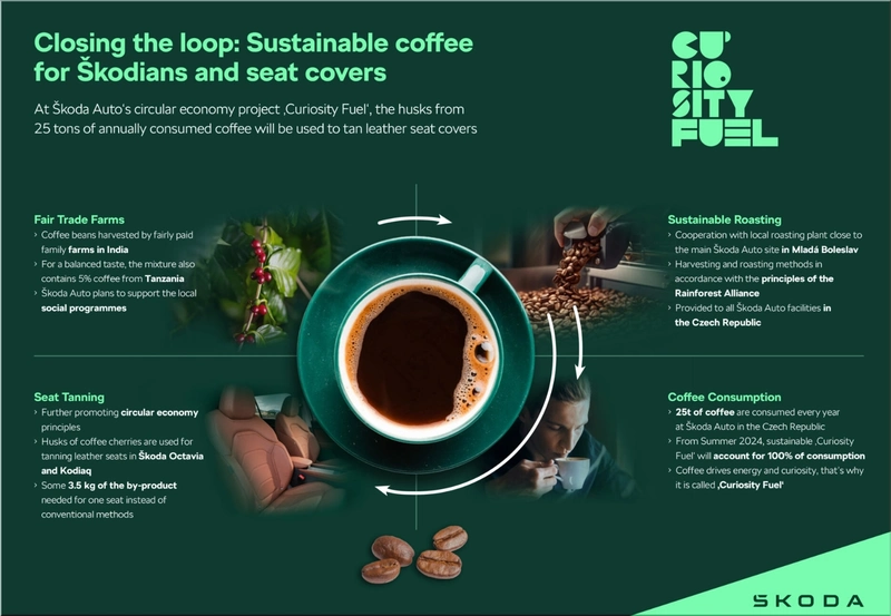 Curiosity Fuel Coffee