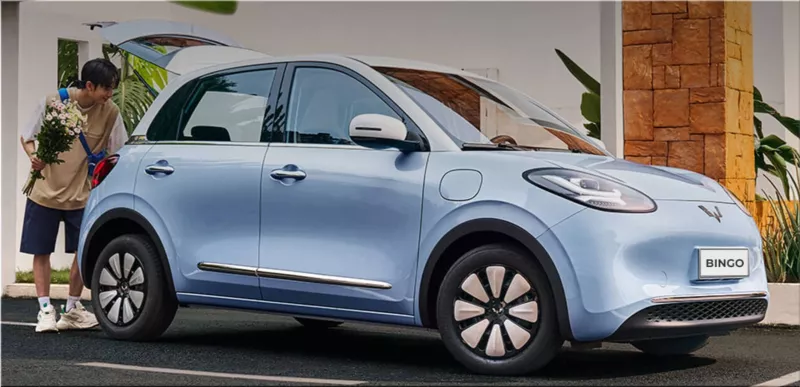 Wuling Bingo