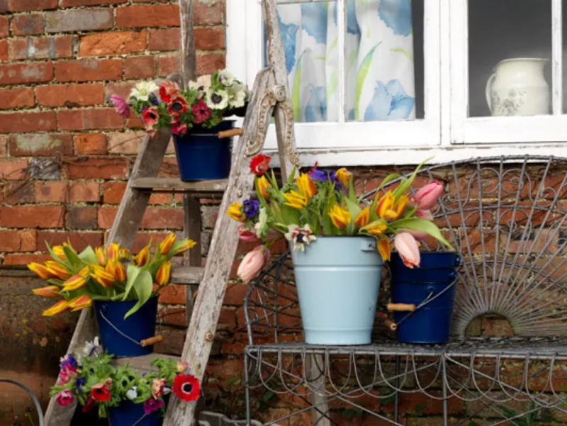 A vintage garden