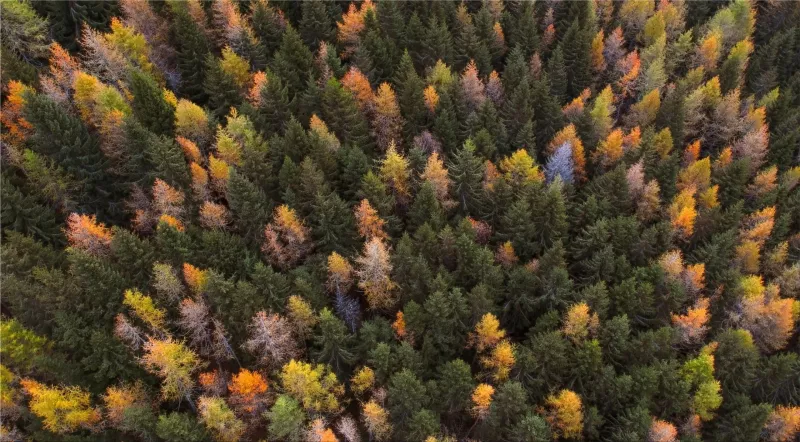 Ecological Quality Standards