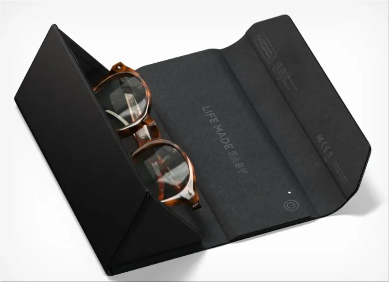 Satechi FindAll Glasses Case