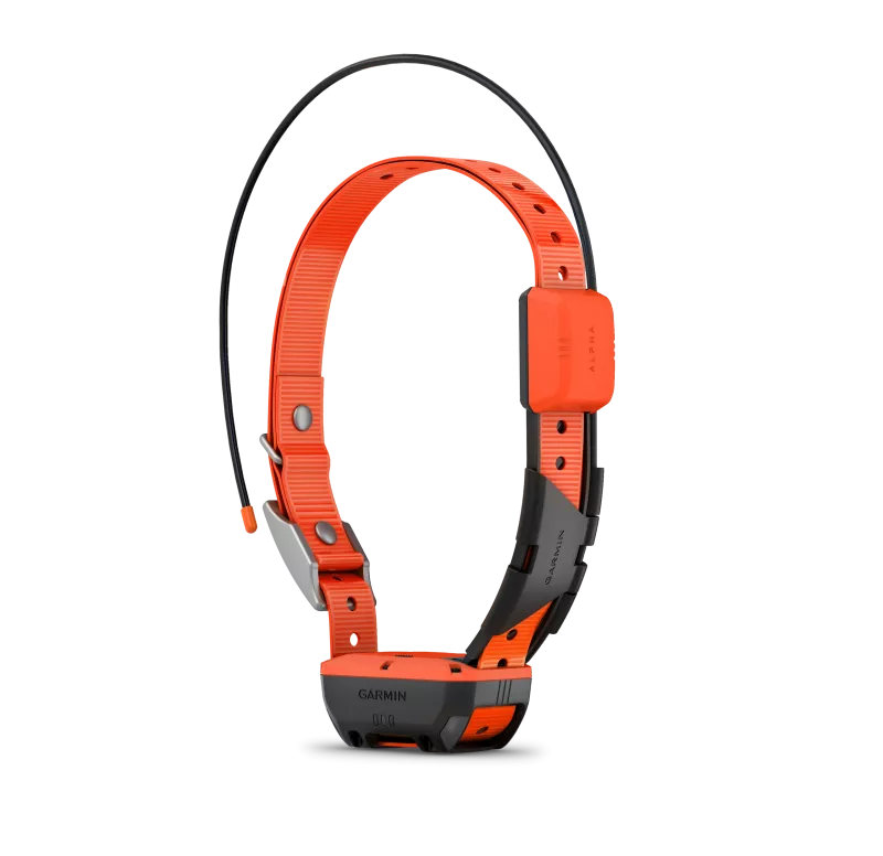 Alpha dog tracking system