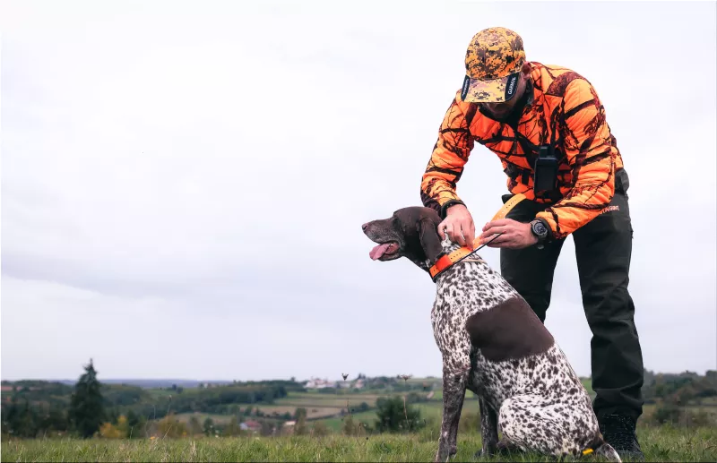 Alpha dog tracking system