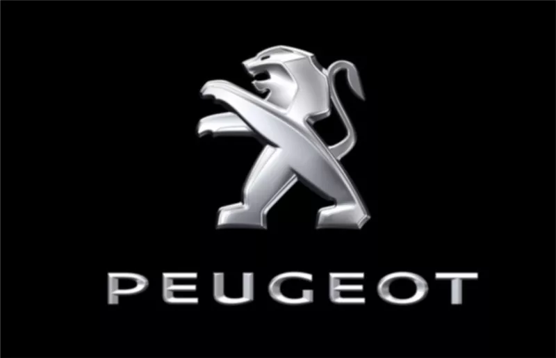 Peugeot e-lion project