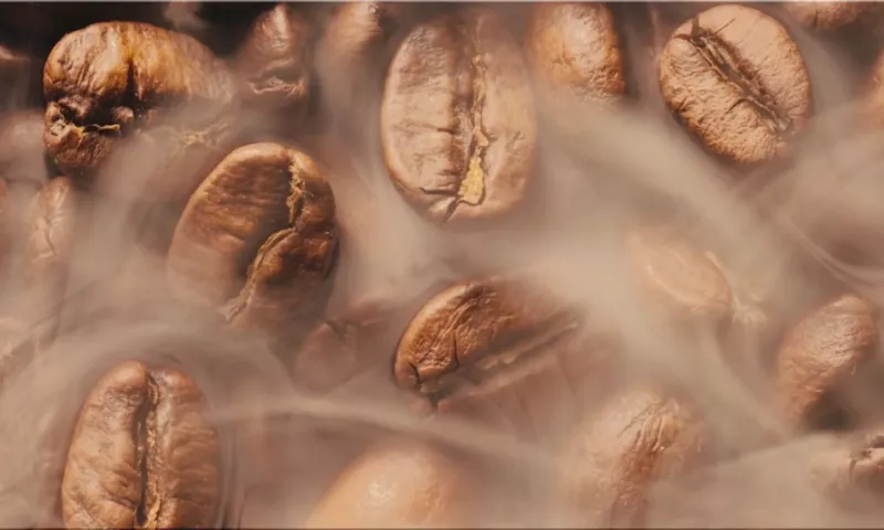 Curiosity Fuel Coffee
