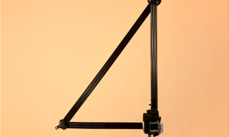 Multi-Adaptive Safety Belt