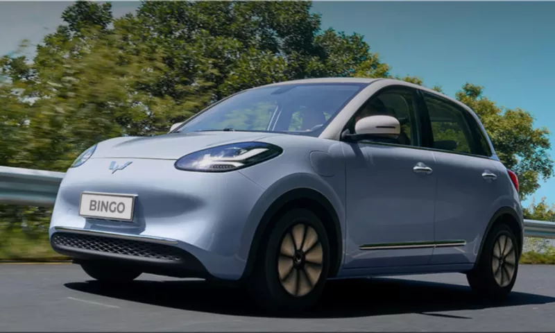 Wuling Bingo