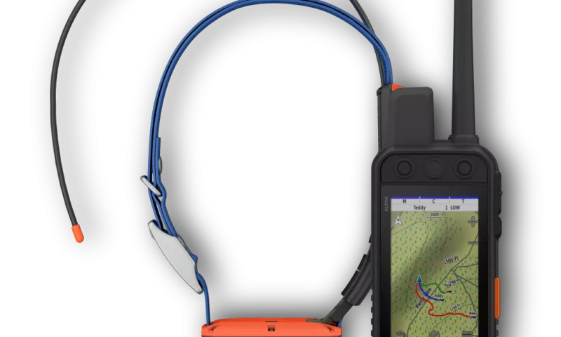 Alpha dog tracking system