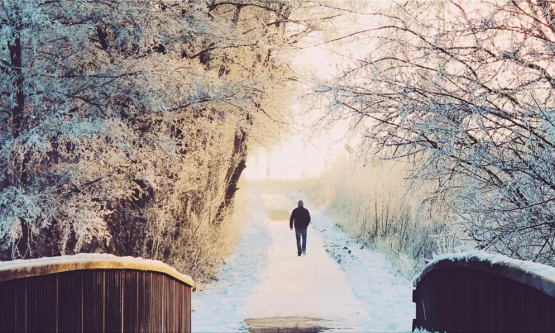 trick against loneliness on cold days
