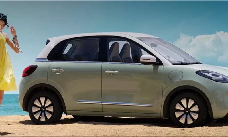 Wuling Bingo