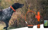 Garmin's New Alpha Dog Tracking System Can Make You a Better Hunter